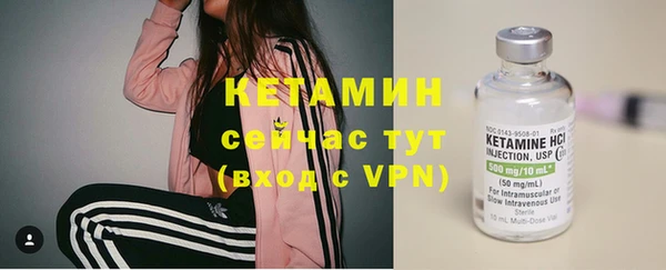стафф Кодинск