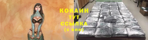 соль курить ск Козловка