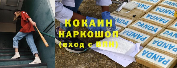стафф Кодинск