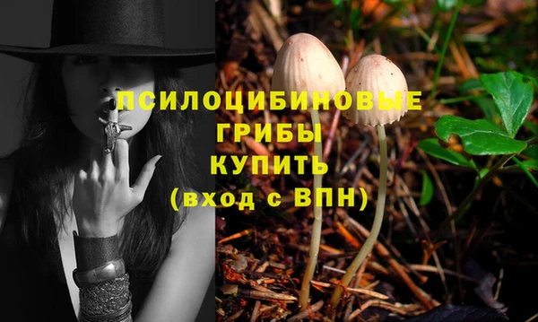 соль курить ск Козловка